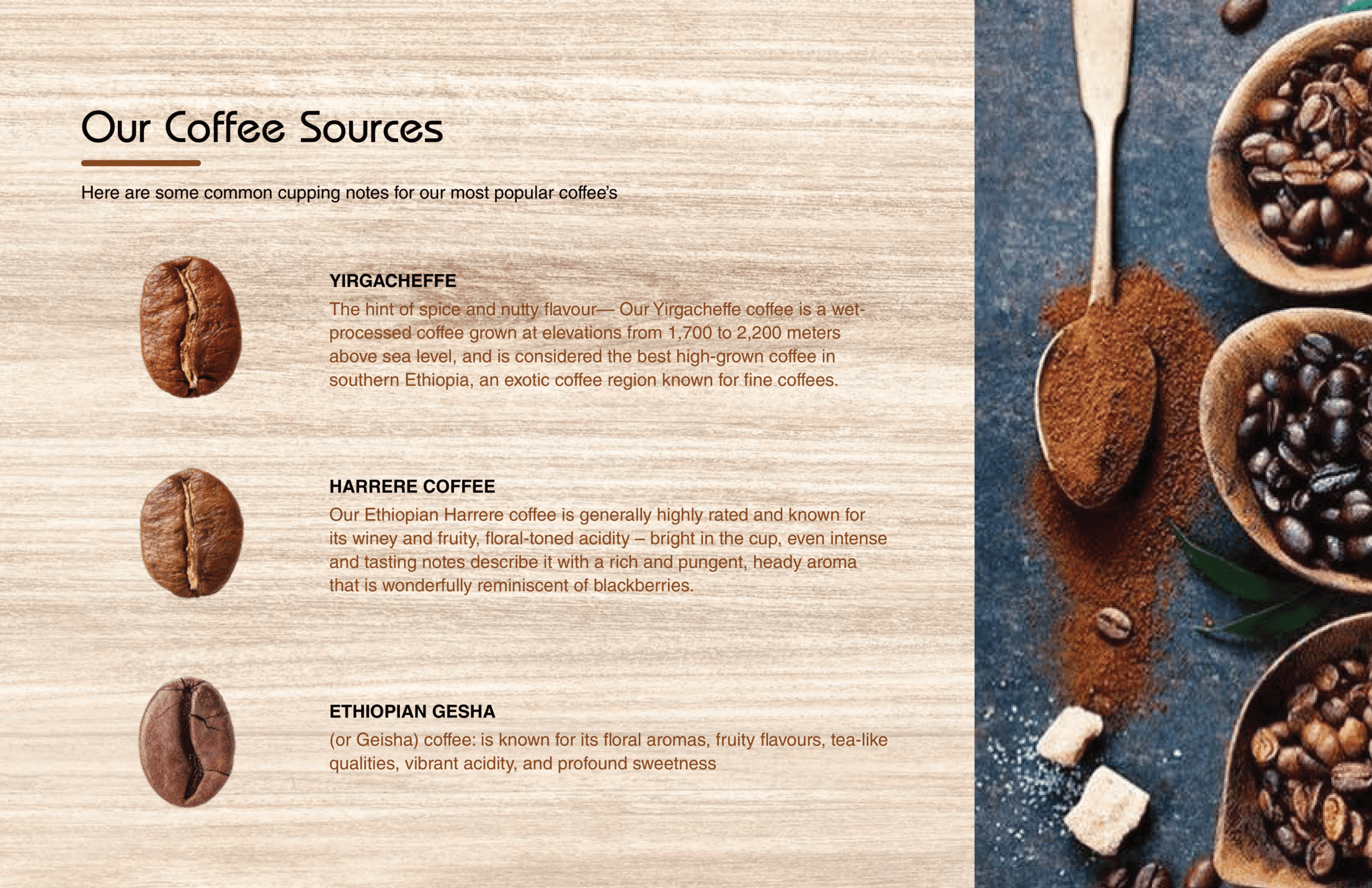 Our Coffee Sources - Yirgacheffe, Harrere, Ethiopian Gesha